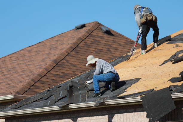 Best Emergency Roof Repair Services  in Hawi, HI