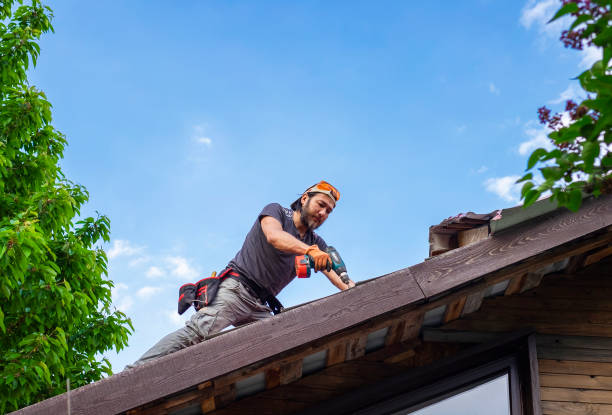 Best Solar Panel Roofing Installation  in Hawi, HI